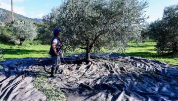 &Pi;&alpha;&rho;ά&tau;&alpha;&sigma;&eta; &epsilon;&phi;&alpha;&rho;&mu;&omicron;&gamma;ή&sigmaf; &tau;&eta;&sigmaf; &upsilon;&pi;&omicron;&chi;&rho;&epsilon;&omega;&tau;&iota;&kappa;ή&sigmaf; &delta;ή&lambda;&omega;&sigma;&eta;&sigmaf; &sigma;&upsilon;&gamma;&kappa;&omicron;&mu;&iota;&delta;ή&sigmaf; &epsilon;&lambda;&alpha;&iota;&omicron;&kappa;ά&rho;&pi;&omicron;&upsilon; &bull; &Theta;&epsilon;&sigma;&sigma;&alpha;&lambda;&iota;&kappa;ή &Gamma;&eta; &bull; &Tau;&alpha; &Alpha;&gamma;&rho;&omicron;&tau;&iota;&kappa;ά &Nu;έ&alpha; &tau;&eta;&sigmaf; &Theta;&epsilon;&sigma;&sigma;&alpha;&lambda;ί&alpha;&sigmaf;