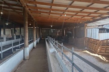 eulogia-1