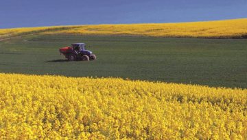 &Sigma;&epsilon; &rho;ό&lambda;&omicron; eco-schemes &eta; &alpha;&nu;&alpha;&gamma;&epsilon;&nu;&nu;&eta;&tau;&iota;&kappa;ή &gamma;&epsilon;&omega;&rho;&gamma;ί&alpha;, &pi;&iota;&lambda;ό&tau;&omicron;&sigmaf; &gamma;&iota;&alpha; &sigma;&chi;&epsilon;&delta;&iota;&alpha;&sigma;&mu;ό &tau;&omicron;&upsilon; &pi;&rho;&omicron;&gamma;&rho;ά&mu;&mu;&alpha;&tau;&omicron;&sigmaf; &eta; &epsilon;&rho;&chi;ό&mu;&epsilon;&nu;&eta; &pi;&rho;ό&sigma;&kappa;&lambda;&eta;&sigma;&eta; &gamma;&iota;&alpha; &tau;&omicron; &pi;&rho;&iota;&mu; ά&nu;&theta;&rho;&alpha;&kappa;&alpha;