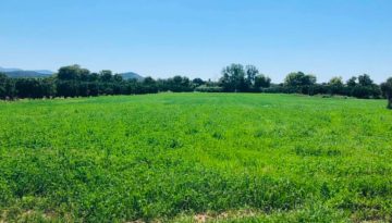 &Nu;έ&epsilon;&sigmaf; &pi;&lambda;&eta;&rho;&omega;&mu;έ&sigmaf; &gamma;&iota;&alpha; &tau;&omicron;&upsilon;&sigmaf; &alpha;&gamma;&rho;ό&tau;&epsilon;&sigmaf; &tau;&iota;&sigmaf; &epsilon;&pi;ό&mu;&epsilon;&nu;&epsilon;&sigmaf; &eta;&mu;έ&rho;&epsilon;&sigmaf;, &eta; &epsilon;&iota;&kappa;ό&nu;&alpha; &gamma;&iota;&alpha; &tau;&alpha; de minimis | Agronewsbomb | &Epsilon;&iota;&delta;ή&sigma;&epsilon;&iota;&sigmaf; &kappa;&alpha;&iota; &nu;έ&alpha; &gamma;&iota;&alpha; &alpha;&gamma;&rho;ό&tau;&epsilon;&sigmaf; &kappa;&alpha;&iota; &kappa;&tau;&eta;&nu;&omicron;&tau;&rho;ό&phi;&omicron;&upsilon;&sigmaf;