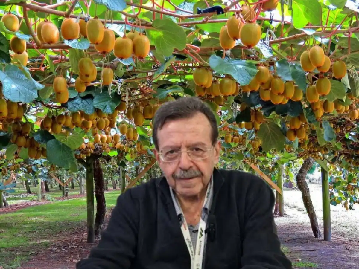&Alpha;&kappa;&tau;&iota;&nu;ί&delta;&iota;&alpha;: &laquo;&Kappa;&alpha;&mu;&pi;&alpha;&nu;ά&kappa;&iota;&raquo; &Gamma;&iota;&alpha;&nu;&nu;&alpha;&kappa;ά&kappa;&eta; &gamma;&iota;&alpha; &tau;&eta;&nu; &pi;&alpha;&rho;&alpha;&gamma;&omega;&gamma;ή &ndash; &Zeta;&eta;&tau;&epsilon;ί&tau;&alpha;&iota; &nu;έ&omicron; &pi;&lambda;&alpha;ί&sigma;&iota;&omicron; &gamma;&iota;&alpha; &tau;&iota;&sigmaf; &pi;&omicron;&iota;&kappa;&iota;&lambda;ί&epsilon;&sigmaf; &kappa;&alpha;&iota; &tau;&iota;&sigmaf; &eta;&mu;&epsilon;&rho;&omicron;&mu;&eta;&nu;ί&epsilon;&sigmaf; &sigma;&upsilon;&gamma;&kappa;&omicron;&mu;&iota;&delta;ή&sigmaf; &bull; &Theta;&epsilon;&sigma;&sigma;&alpha;&lambda;&iota;&kappa;ή &Gamma;&eta; &bull; &Tau;&alpha; &Alpha;&gamma;&rho;&omicron;&tau;&iota;&kappa;ά &Nu;έ&alpha; &tau;&eta;&sigmaf; &Theta;&epsilon;&sigma;&sigma;&alpha;&lambda;ί&alpha;&sigmaf;