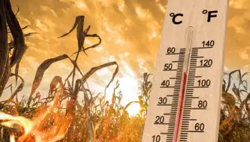 &Eta; &kappa;&lambda;&iota;&mu;&alpha;&tau;&iota;&kappa;ή &kappa;&rho;ί&sigma;&eta; &laquo;&kappa;&alpha;ί&epsilon;&iota;&raquo; &tau;&iota;&sigmaf; &epsilon;&upsilon;&rho;&omega;&pi;&alpha;ϊ&kappa;έ&sigmaf; &kappa;&alpha;&lambda;&lambda;&iota;έ&rho;&gamma;&epsilon;&iota;&epsilon;&sigmaf; &ndash; &Sigma;&eta;&mu;&alpha;&nu;&tau;&iota;&kappa;έ&sigmaf; &alpha;&pi;ώ&lambda;&epsilon;&iota;&epsilon;&sigmaf; &sigma;&epsilon; &epsilon;&lambda;&alpha;&iota;ό&lambda;&alpha;&delta;&omicron;, &delta;&eta;&mu;&eta;&tau;&rho;&iota;&alpha;&kappa;ά &kappa;&alpha;&iota; &alpha;&mu;&pi;έ&lambda;&iota;&alpha; &bull; &Theta;&epsilon;&sigma;&sigma;&alpha;&lambda;&iota;&kappa;ή &Gamma;&eta; &bull; &Tau;&alpha; &Alpha;&gamma;&rho;&omicron;&tau;&iota;&kappa;ά &Nu;έ&alpha; &tau;&eta;&sigmaf; &Theta;&epsilon;&sigma;&sigma;&alpha;&lambda;ί&alpha;&sigmaf;