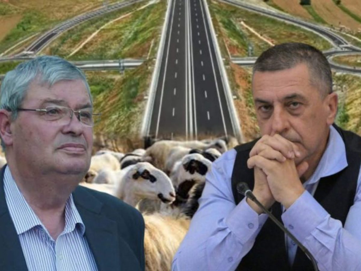 &Epsilon;&upsilon;&lambda;&omicron;&gamma;&iota;ά &alpha;&iota;&gamma;&omicron;&pi;&rho;&omicron;&beta;ά&tau;&omega;&nu;: &Sigma;&tau;&omicron;&nu; &delta;&rho;ό&mu;&omicron; &tau;&omicron;&upsilon; &Kappa;&omicron;&upsilon;&rho;έ&tau;&alpha; &omicron; &Kappa;&alpha;&chi;&rho;&iota;&mu;ά&nu;&eta;&sigmaf; &ndash; &Zeta;&eta;&tau;ά &pi;&lambda;έ&omicron;&nu; &epsilon;&mu;&beta;&omicron;&lambda;&iota;&alpha;&sigma;&mu;ό &bull; &Theta;&epsilon;&sigma;&sigma;&alpha;&lambda;&iota;&kappa;ή &Gamma;&eta; &bull; &Tau;&alpha; &Alpha;&gamma;&rho;&omicron;&tau;&iota;&kappa;ά &Nu;έ&alpha; &tau;&eta;&sigmaf; &Theta;&epsilon;&sigma;&sigma;&alpha;&lambda;ί&alpha;&sigmaf;