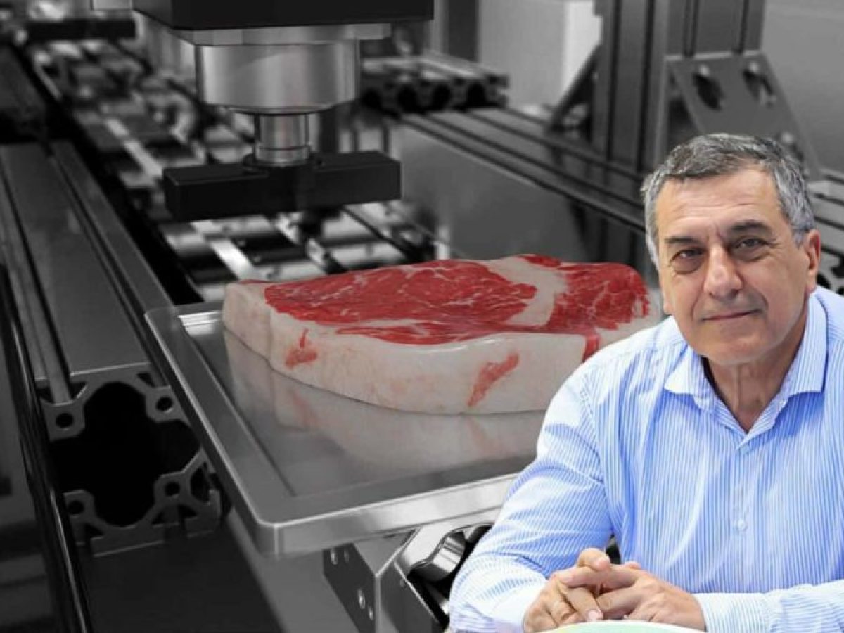 &Kappa;&omicron;&upsilon;&rho;έ&tau;&alpha;&sigmaf;: &laquo;Plant-based &mu;&pi;&rho;&iota;&zeta;ό&lambda;&epsilon;&sigmaf;&raquo; &alpha;&pi;ό 3D &epsilon;&kappa;&tau;&upsilon;&pi;&omega;&tau;έ&sigmaf; &ndash; &Tau;&omicron; &epsilon;&rho;ώ&tau;&eta;&mu;&alpha; &gamma;&iota;&alpha; &tau;&omicron; &mu;έ&lambda;&lambda;&omicron;&nu; &tau;&omicron;&upsilon; &pi;&rho;&alpha;&gamma;&mu;&alpha;&tau;&iota;&kappa;&omicron;ύ &kappa;&rho;έ&alpha;&tau;&omicron;&sigmaf; &bull; &Theta;&epsilon;&sigma;&sigma;&alpha;&lambda;&iota;&kappa;ή &Gamma;&eta; &bull; &Tau;&alpha; &Alpha;&gamma;&rho;&omicron;&tau;&iota;&kappa;ά &Nu;έ&alpha; &tau;&eta;&sigmaf; &Theta;&epsilon;&sigma;&sigma;&alpha;&lambda;ί&alpha;&sigmaf;