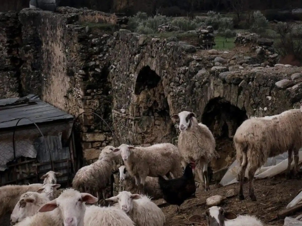 &Alpha;&pi;&omicron;&zeta;&eta;&mu;&iota;ώ&sigma;&epsilon;&iota;&sigmaf; 4,2 &epsilon;&kappa;&alpha;&tau;. &epsilon;&upsilon;&rho;ώ &sigma;&epsilon; 176 &kappa;&tau;&eta;&nu;&omicron;&tau;&rho;&omicron;&phi;&iota;&kappa;έ&sigmaf; &epsilon;&kappa;&mu;&epsilon;&tau;&alpha;&lambda;&lambda;&epsilon;ύ&sigma;&epsilon;&iota;&sigmaf; &gamma;&iota;&alpha; &zeta;&omega;&omicron;&nu;ό&sigma;&omicron;&upsilon;&sigmaf; &alpha;&pi;ό &tau;&omicron; &Upsilon;&pi;&Alpha;&Alpha;&Tau;
