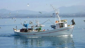 &Pi;&alpha;&rho;ά&tau;&alpha;&sigma;&eta; &upsilon;&pi;&omicron;&beta;&omicron;&lambda;ή&sigmaf; &alpha;&iota;&tau;ή&sigma;&epsilon;&omega;&nu; &chi;&rho;&eta;&mu;&alpha;&tau;&omicron;&delta;ό&tau;&eta;&sigma;&eta;&sigmaf;&sigma;&tau;&eta; &Delta;&rho;ά&sigma;&eta; 1.1.2 &laquo;&Epsilon;&pi;&epsilon;&nu;&delta;ύ&sigma;&epsilon;&iota;&sigmaf; &sigma;&tau;&alpha; &alpha;&lambda;&iota;&epsilon;&upsilon;&tau;&iota;&kappa;ά &sigma;&kappa;ά&phi;&eta; &chi;&omega;&rho;ί&sigmaf; &alpha;ύ&xi;&eta;&sigma;&eta; &alpha;&lambda;&iota;&epsilon;&upsilon;&tau;&iota;&kappa;ή&sigmaf; &iota;&kappa;&alpha;&nu;ό&tau;&eta;&tau;&alpha;&sigmaf;&raquo; | &Alpha;&gamma;&rho;&omicron;Έ&kappa;&phi;&rho;&alpha;&sigma;&eta;
