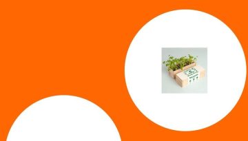 &Mu;&iota;&kappa;&rho;ή &kappa;&alpha;&lambda;&lambda;&iota;έ&rho;&gamma;&epsilon;&iota;&alpha; &sigma;&tau;&omicron; &sigma;&pi;ί&tau;&iota;: Έ&xi;&upsilon;&pi;&nu;&alpha; kit &gamma;&iota;&alpha; &beta;ό&tau;&alpha;&nu;&alpha;, &lambda;&omicron;&upsilon;&lambda;&omicron;ύ&delta;&iota;&alpha; &kappa;&alpha;&iota; &lambda;&alpha;&chi;&alpha;&nu;&iota;&kappa;ά