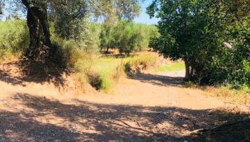 &Delta;&iota;&alpha;&delta;&iota;&kappa;&alpha;&sigma;ί&alpha; &pi;&lambda;&eta;&rho;&omega;&mu;ώ&nu; &gamma;&iota;&alpha; έ&rho;&gamma;&alpha; &epsilon;&gamma;&gamma;&epsilon;ί&omega;&nu; &beta;&epsilon;&lambda;&tau;&iota;ώ&sigma;&epsilon;&omega;&nu;, &epsilon;&pi;&epsilon;&nu;&delta;ύ&sigma;&epsilon;&iota;&sigmaf;, &pi;&rho;ό&lambda;&eta;&psi;&eta; &zeta;&eta;&mu;&iota;ώ&nu; &sigma;&epsilon; &delta;ά&sigma;&eta; | Agronewsbomb | &Epsilon;&iota;&delta;ή&sigma;&epsilon;&iota;&sigmaf; &kappa;&alpha;&iota; &nu;έ&alpha; &gamma;&iota;&alpha; &alpha;&gamma;&rho;ό&tau;&epsilon;&sigmaf; &kappa;&alpha;&iota; &kappa;&tau;&eta;&nu;&omicron;&tau;&rho;ό&phi;&omicron;&upsilon;&sigmaf;