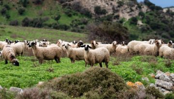 &Alpha;&phi;&theta;ώ&delta;&eta;&sigmaf; &pi;&upsilon;&rho;&epsilon;&tau;ό&sigmaf;: &Kappa;&alpha;&tau;&alpha;&gamma;&gamma;&epsilon;&lambda;ί&alpha; &gamma;&iota;&alpha; &tau;&eta; &sigma;&tau;&rho;&alpha;&tau;&iota;&omega;&tau;&iota;&kappa;&omicron;&pi;&omicron;ί&eta;&sigma;&eta; &tau;&eta;&sigmaf; &delta;&iota;&alpha;&chi;&epsilon;ί&rho;&iota;&sigma;&eta;&sigmaf; &tau;&eta;&sigmaf; &epsilon;&pi;&iota;&zeta;&omega;&omicron;&tau;ί&alpha;&sigmaf; &bull; &Theta;&epsilon;&sigma;&sigma;&alpha;&lambda;&iota;&kappa;ή &Gamma;&eta; &bull; &Tau;&alpha; &Alpha;&gamma;&rho;&omicron;&tau;&iota;&kappa;ά &Nu;έ&alpha; &tau;&eta;&sigmaf; &Theta;&epsilon;&sigma;&sigma;&alpha;&lambda;ί&alpha;&sigmaf;