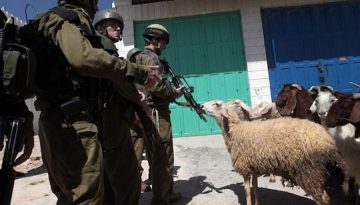 &Pi;&Omicron;&Gamma;&Epsilon;&Delta;&Upsilon;: &laquo;&Eta; &epsilon;&pi;&iota;&beta;&omicron;&lambda;ή &sigma;&tau;&rho;&alpha;&tau;&iota;&omega;&tau;&iota;&kappa;&omicron;ύ &nu;ό&mu;&omicron;&upsilon; &sigma;&tau;&eta;&nu; &kappa;&tau;&eta;&nu;&omicron;&tau;&rho;&omicron;&phi;ί&alpha; &alpha;&pi;&omicron;&tau;&epsilon;&lambda;&epsilon;ί &epsilon;&pi;&iota;&kappa;ί&nu;&delta;&upsilon;&nu;&eta; &epsilon;&kappa;&tau;&rho;&omicron;&pi;ή&raquo; &bull; &Theta;&epsilon;&sigma;&sigma;&alpha;&lambda;&iota;&kappa;ή &Gamma;&eta; &bull; &Tau;&alpha; &Alpha;&gamma;&rho;&omicron;&tau;&iota;&kappa;ά &Nu;έ&alpha; &tau;&eta;&sigmaf; &Theta;&epsilon;&sigma;&sigma;&alpha;&lambda;ί&alpha;&sigmaf;