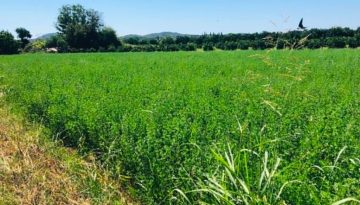 &Nu;&epsilon;&omicron;&epsilon;&iota;&sigma;&epsilon;&rho;&chi;ό&mu;&epsilon;&nu;&omicron;&iota; &gamma;&epsilon;&omega;&rho;&gamma;&omicron;ί: &Kappa;&alpha;&iota; ά&nu;&omega; &tau;&omega;&nu; 40 &epsilon;&tau;ώ&nu;, &alpha;&iota;&tau;ή&sigma;&epsilon;&iota;&sigmaf; &gamma;&iota;&alpha; &epsilon;&theta;&nu;&iota;&kappa;ό &alpha;&pi;ό&theta;&epsilon;&mu;&alpha; | Agronewsbomb | &Epsilon;&iota;&delta;ή&sigma;&epsilon;&iota;&sigmaf; &kappa;&alpha;&iota; &nu;έ&alpha; &gamma;&iota;&alpha; &alpha;&gamma;&rho;ό&tau;&epsilon;&sigmaf; &kappa;&alpha;&iota; &kappa;&tau;&eta;&nu;&omicron;&tau;&rho;ό&phi;&omicron;&upsilon;&sigmaf;